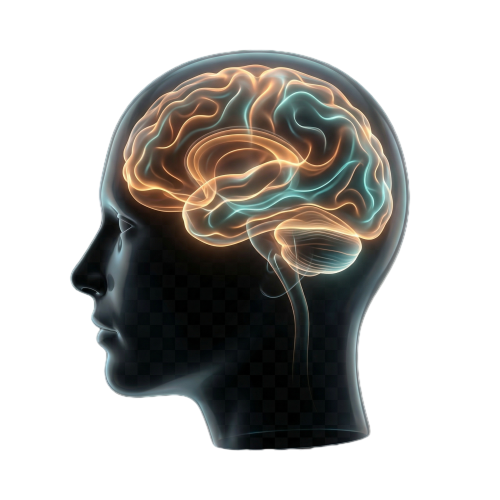 [ ソリューション 3：Eotocare ] 医療・ヘルスケアにおけるデジタル治療行為 (DTx)